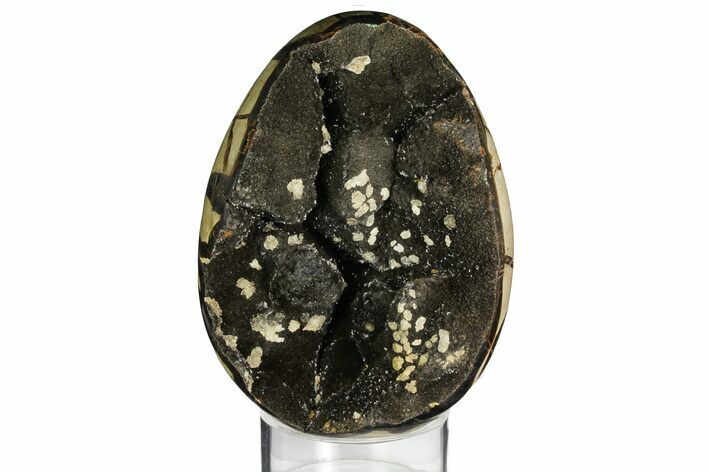Septarian Dragon Egg Geode - Black Crystals #157895